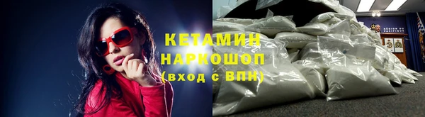 прущие грибы Волоколамск