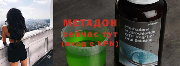 прущие грибы Волоколамск