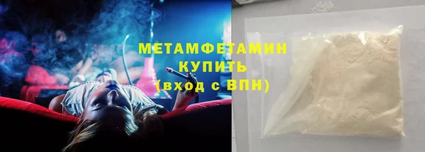 прущие грибы Волоколамск