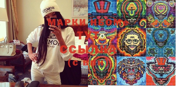 прущие грибы Волоколамск