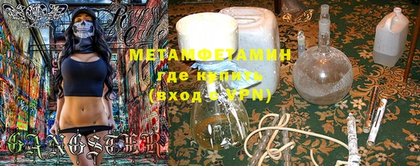 прущие грибы Волоколамск