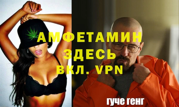 прущие грибы Волоколамск