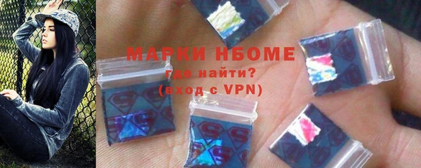 прущие грибы Волоколамск
