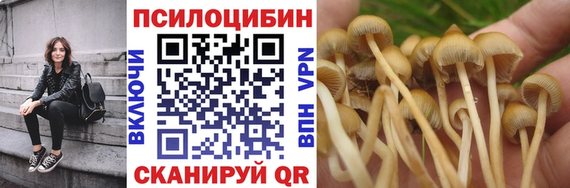 Галлюциногенные грибы MAGIC MUSHROOMS  купить наркоту  Нефтекамск 